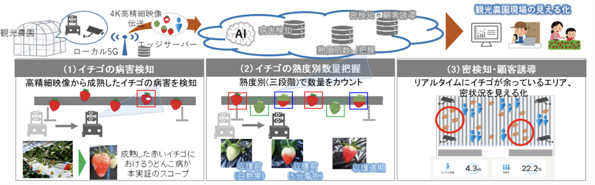 図1　実証イメージ