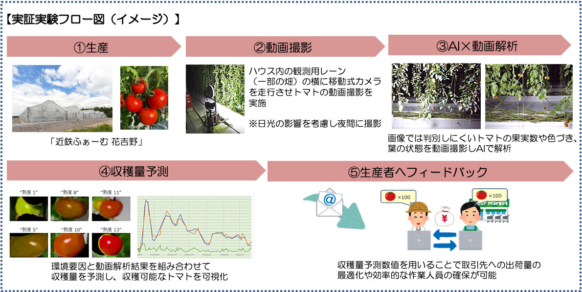 実証実験の内容・フロー