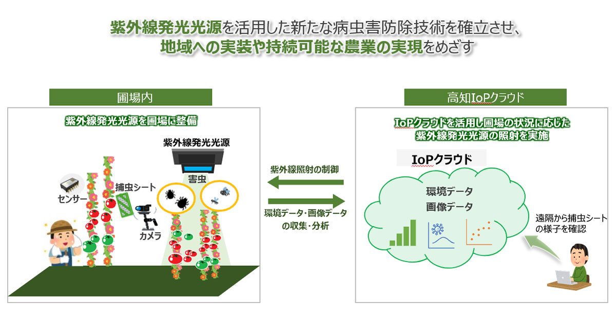 実証イメージ画像