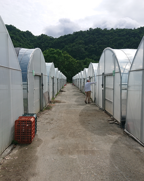 実証候補地