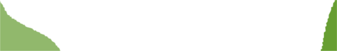 画像32