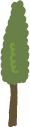 木